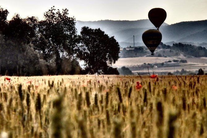 Barcelona: Montserrat Hot Air Balloon Ride with Champagne Toast - Snacks after landing: hummus, chips, nuts, and water