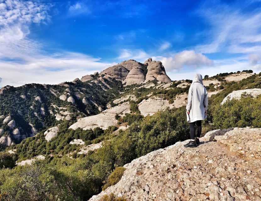 Barcelona: Montserrat Private Tour for Families with Pickup - Should you book this private family Montserrat tour?