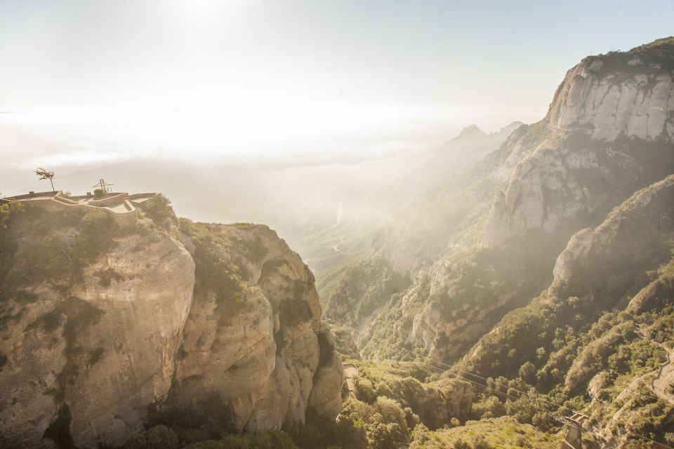 Barcelona: Montserrat with Winery Visit and Farmhouse Lunch - Cava tasting: what you should focus on