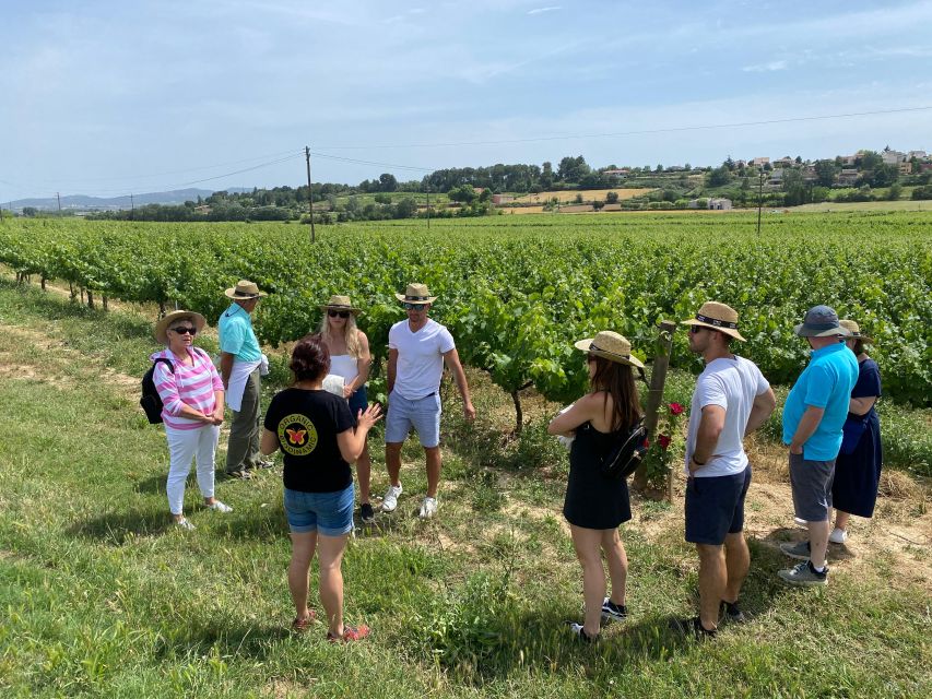 Barcelona: Montserrat with Winery Visit and Farmhouse Lunch - Lunch in the vineyards: the farmhouse stop that makes the day feel real