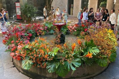 Barcelona Old Town Tour With Optional Flamenco Show - Plaça Sant Miquel: Human Pyramids and the First Big Clue