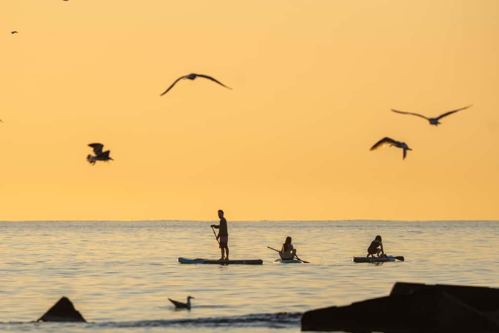 Barcelona: Paddlesurf Rental Barceloneta beach (75min) - Equipment and Inclusions That Make the Rental Feel Worth It