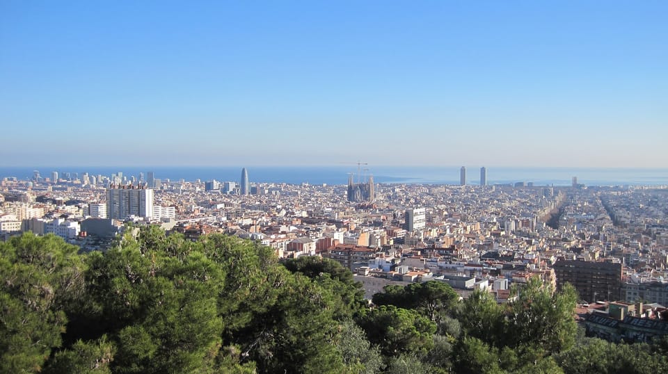 Barcelona: Park Güell Guided Tour - How the Vegetation and Layout Work Together