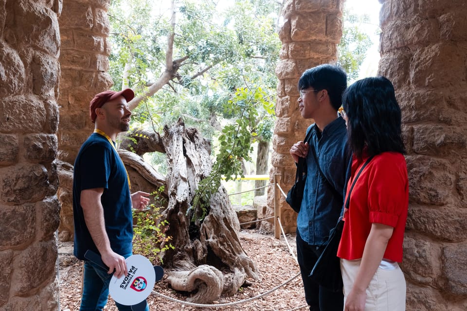 Barcelona: Park Güell Guided Tour with Fast-Track Access - Who should book this tour, and who might not need it