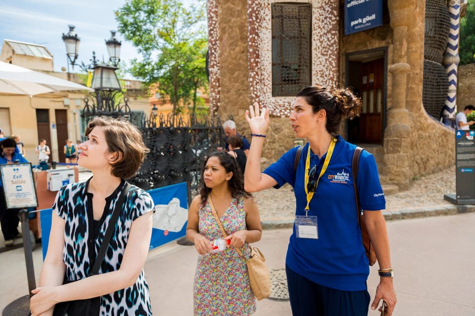 Barcelona: Park Guell Guided Tour with Skip The Line Entry - Key highlights you’ll feel fast