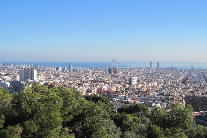 Barcelona: Park Guell Guided Tour with Skip the Line Ticket - Park Güell in 75 minutes: what this tour actually delivers