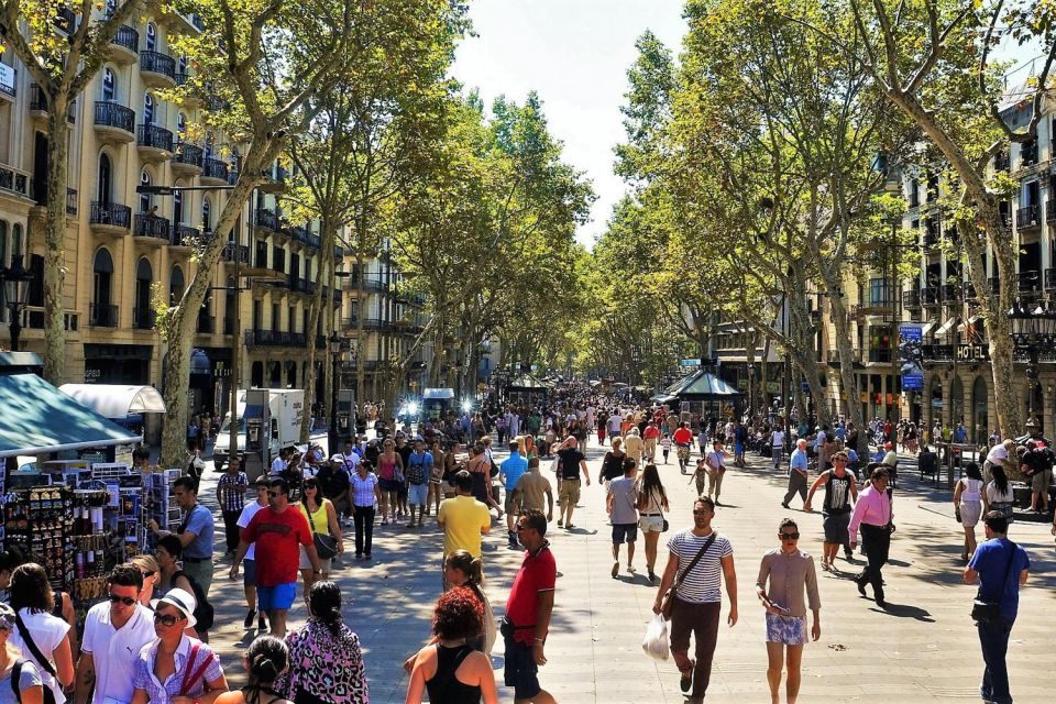 Barcelona & Park Güell: Private Half-Day Tour with Pickup - Port Vell and the Gothic Quarter: medieval streets after a city-teaser walk