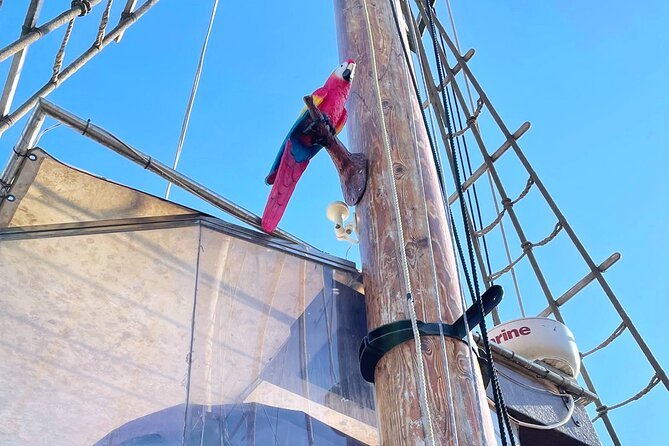 Barcelona Pirate Adventure 75min. - A show that works for kids (and keeps adults from checking out)