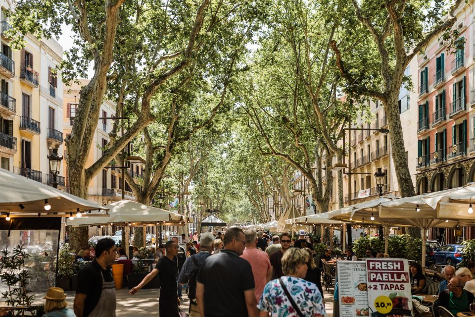 Barcelona: Private Custom Tour with a Local – Icons & Gems - Price and value: is $53 per person a smart spend?