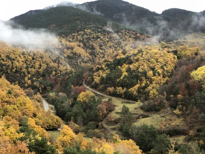Barcelona: Private Guided Day Trip to Andorra with Pickup - Coming back to Barcelona via French Pyrenees passes
