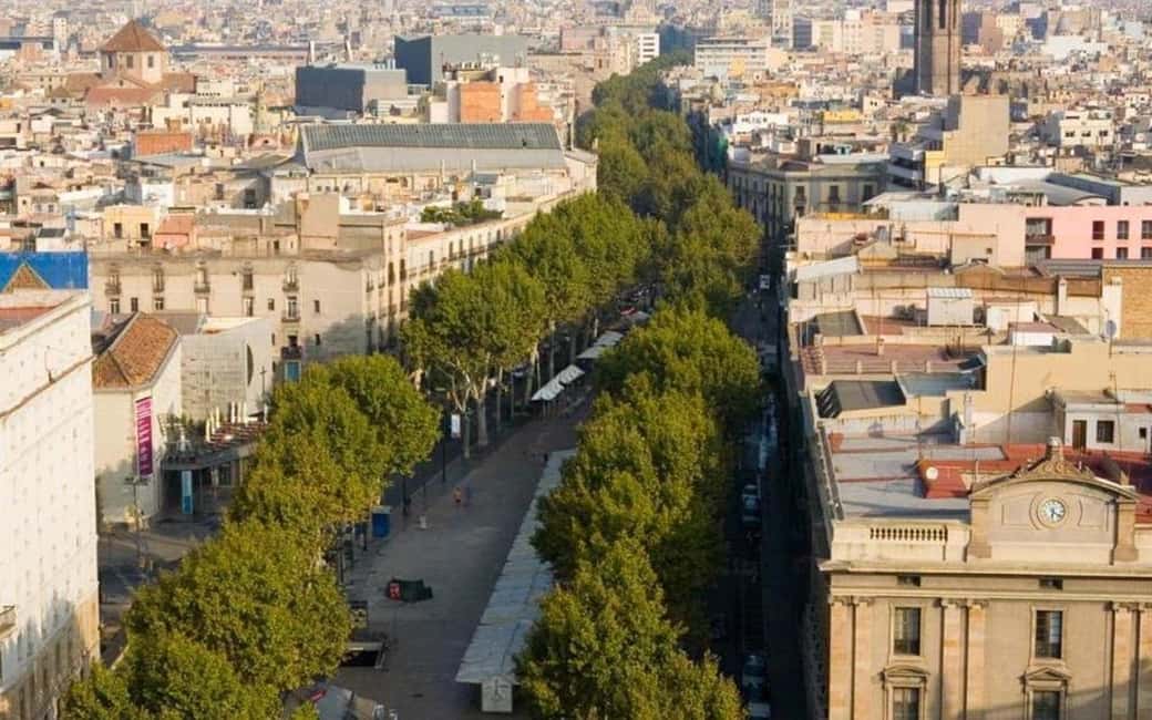 Barcelona: Private Half-Day Sightseeing Tour with a Local - Las Ramblas and flexible strolling: how to avoid the tourist treadmill
