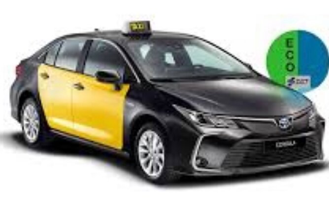 Barcelona Private Transfer from Cruise Terminal to barcelona city - Group Size, Seats, and Family-Friendly Options
