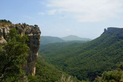 Barcelona: Pyrenees Villages and Trails Full-Day Tour - Breakfast stop in the local bakery: fuel for the trail