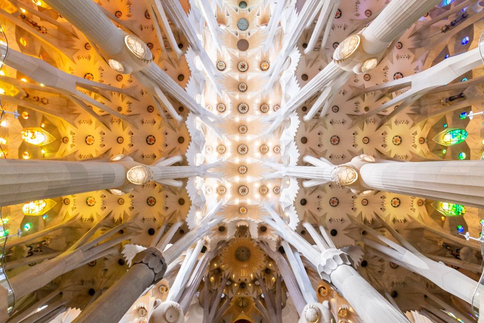 Barcelona: Sagrada Familia and Park Guell Combo Guided Tour - What the 3-hour flow feels like on the ground