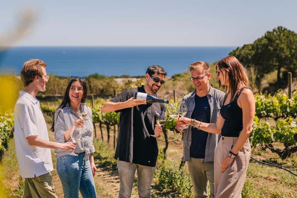 Barcelona: Sailing Cruise & Vineyard Tour with Wine Tasting - Port Olímpic to the open water: what starts this day so well