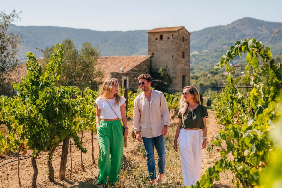 Barcelona: Sailing Cruise & Vineyard Tour with Wine Tasting - Catalan brunch: what it really is (and how much to expect)