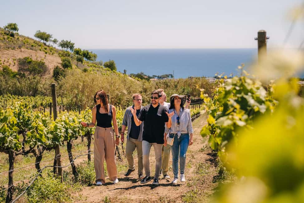 Barcelona: Sailing Cruise & Vineyard Tour with Wine Tasting - Return to Barcelona: you end with views, not stress