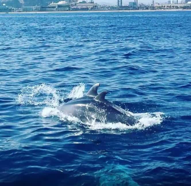 Barcelona: Sailing tours con capitán local, bebidas y snacks - Key Things About This Barcelona Sailing Experience (Before You Go)