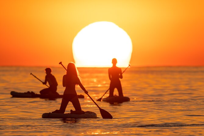 Barcelona: Sunrise Paddle Surf with Instructor and Photos - Your itinerary on the water: what happens at Playa de La Barceloneta