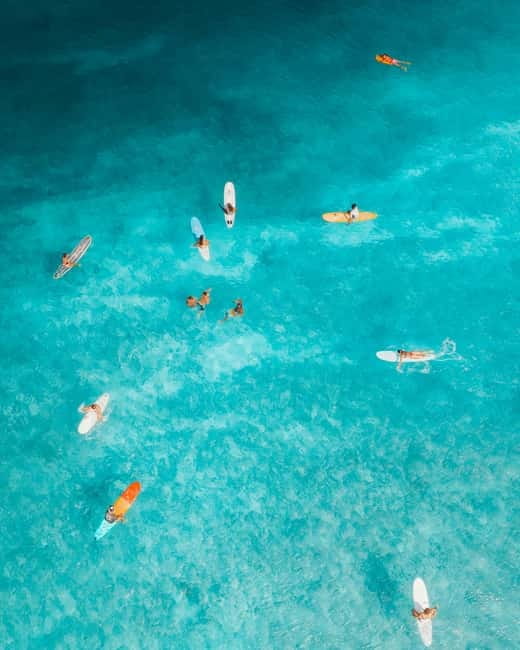 Barcelona: Sunrise & Sunset Paddle Surf Experience - Why this Barcelona sunrise and sunset paddle surf is worth your time