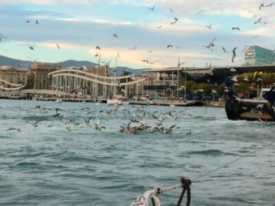 Barcelona: Sunset Cruise with Snacks and Drinks - The 2-hour sailing vibe: relaxed, scenic, and built for lounging