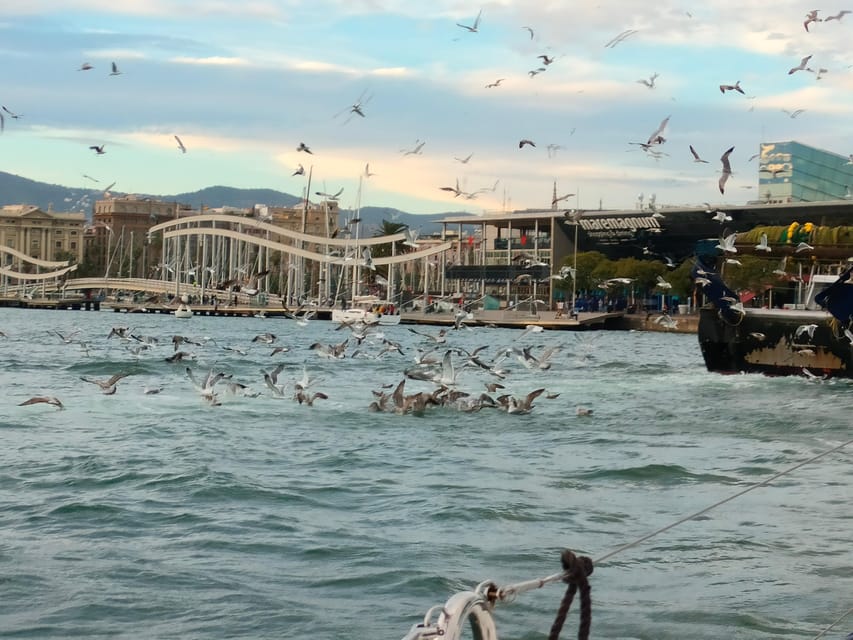 Barcelona: Sunset Cruise with Snacks and Drinks - The 2-hour sailing vibe: relaxed, scenic, and built for lounging