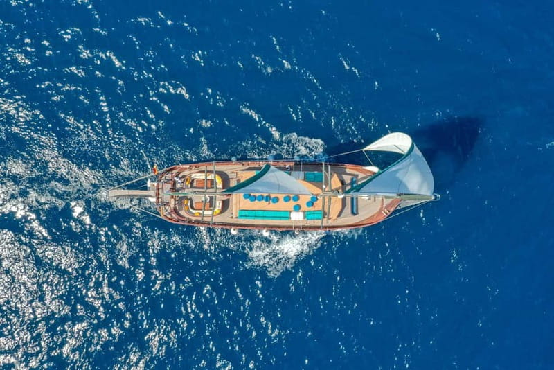 Barcelona: Supercar Driving & Boat Experience - Supercar + sail: what makes this Barcelona combo work