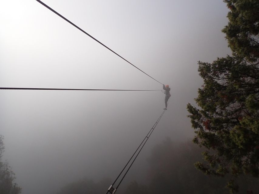 Barcelona: Via Ferrata Baumes Corcades in Centelles - Price and Value: Why $59 Can Make Sense for a Half-Day
