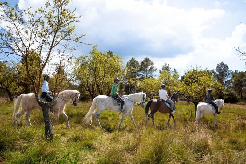 Barcelona: Walking and Horse Riding Day-Trip in Montserrat - Stop by Stop: Monastery Time, Then National Park Walk