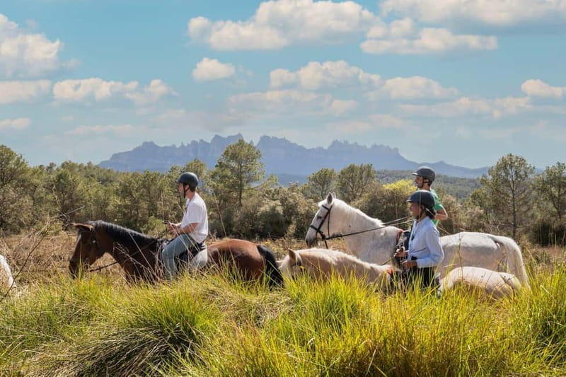 Barcelona: Walking and Horse Riding Day-Trip in Montserrat - Two Hours on Horseback: Hermitage Routes and a Gentle Trail Feel