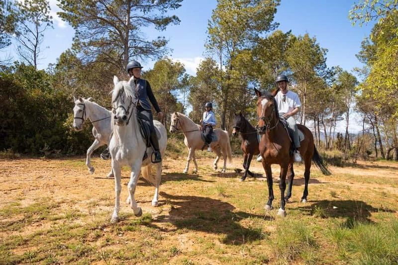 Barcelona: Walking and Horse Riding Day-Trip in Montserrat - Who This Montserrat Tour Is Best For