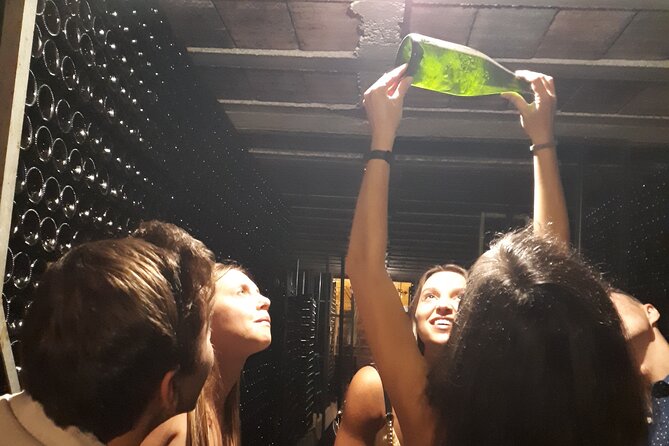 Cava tour to 3 family wineries with hotel pick-up - Key things that make this Cava day tick