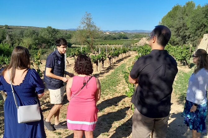 Cava tour to 3 family wineries with hotel pick-up - Giro del Gorner: a 5-century cellar plus a proper lunch