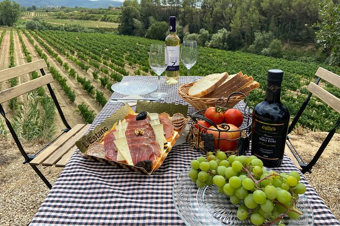 Cava tour to 3 family wineries with hotel pick-up - What you eat and drink: more than just glasses