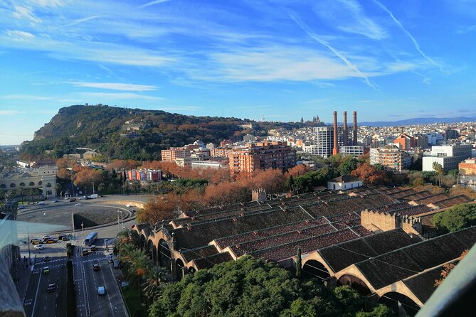 Columbus Monument Access With Barcelona Seaside Guided Tour - Rambla de Mar: the movable bridge that changes how you experience the harbor