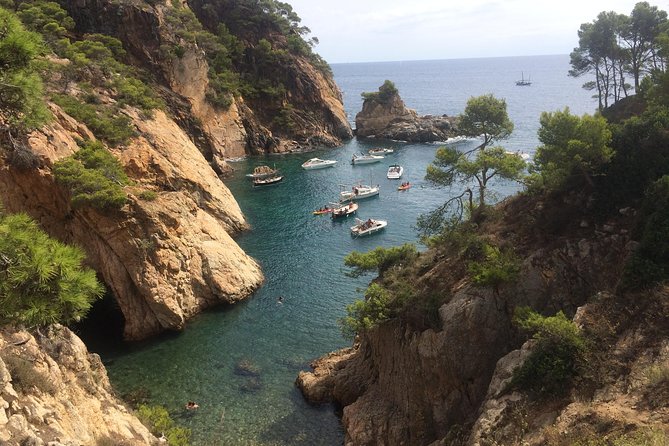 Costa Brava Scenic Hike & Tossa de Mar Small Group Tour - From Barcelona to Tossa de Mar: The Day’s Rhythm Starts Early