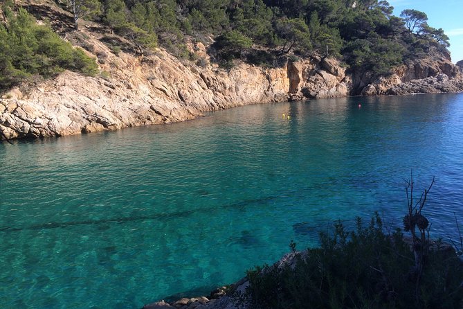 Costa Brava Scenic Hike & Tossa de Mar Small Group Tour - Who Should Book This, and Who Might Want a Different Plan