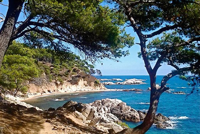 Costa Brava Small Group Hiking Tour from Barcelona - Why the Camino de Ronda hike is such a smart Barcelona day trip