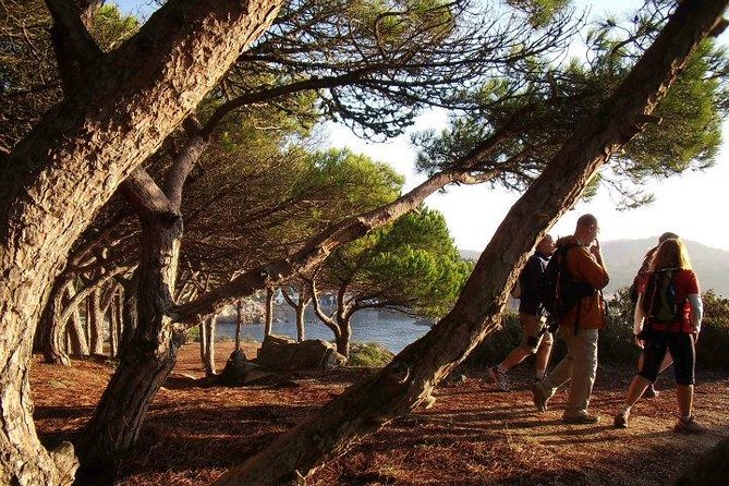 Costa Brava Small Group Hiking Tour from Barcelona - Picnic lunch by the Mediterranean: included, but think about your extras