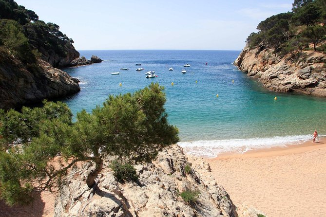 Costa Brava Small Group with Hotel Pick up and Boat Ride - Price and logistics: where the value really comes from