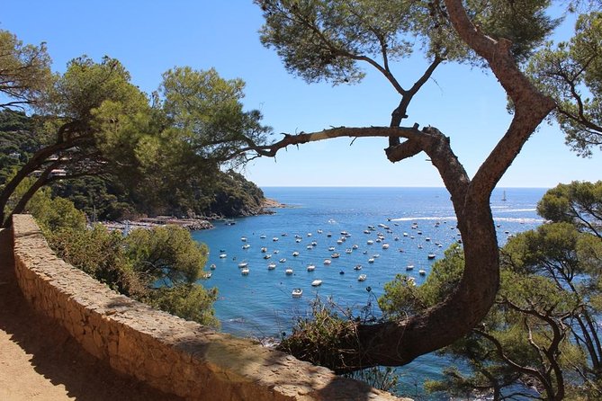 Costa Brava Typical Towns Full Day Tour from Barcelona - Llafranc and the Camino de Ronda: The Walk That Gives You Context