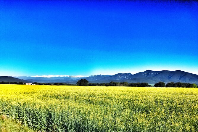 Cycling in the Green Ways and Country Roads of Girona - Choose your distance: 10km to 200km without feeling out of place