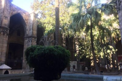 Discover Barcelona’s Gothic Quarter | Private & Semi-Private - Your start point: Plaça Nova and how to get oriented fast