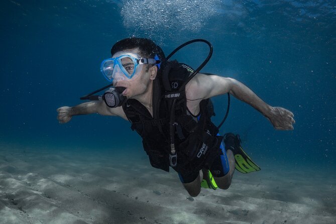 Discover PADI Diving in Barcelona - Key highlights at a glance