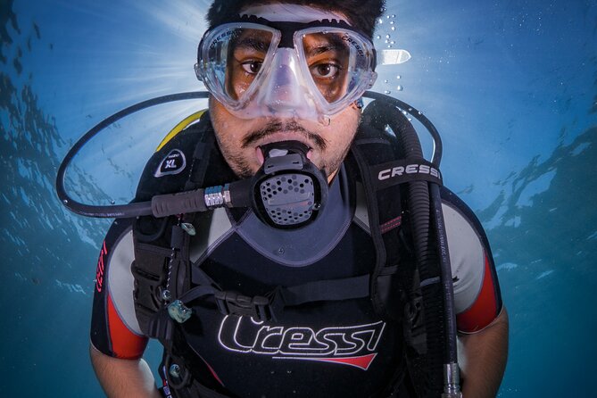 Discover PADI Diving in Barcelona - Your first 30–40 minutes underwater: calm water, close-by marine life