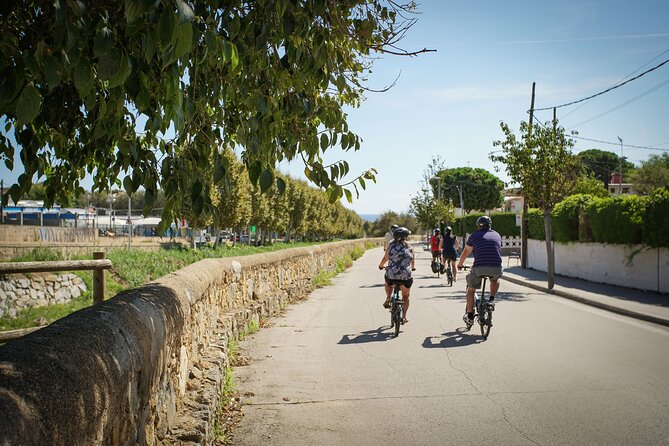 Ebike Tour, Winery, Wine Tasting & Sailing Experience(car option) - Alella winery time: vineyard tour plus tasting in town