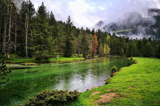 Excursion Aigüestortes - Estany Llebreta (1/2 day) - Estany Llebreta Lake: Why This Place Feels Different