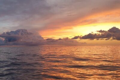 Experience Stand Up Paddle Sunrise - The Morning Paddle: How the 90-Minute Experience Shapes the Views