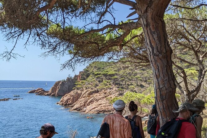 Explore Costa Brava & Tossa de Mar Coastal Trails, Snorkel & Meal - Lunch That Doesn’t Stall the Day: Set Menu Value