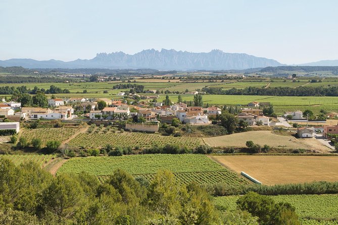 Food and Wine Small Group Tour from Barcelona - Maximum 8 people - Montserrat and Santa Cecília: The Views and the Old Stones